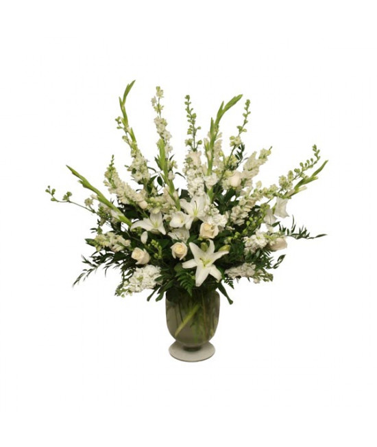 Arrangement of infinite Pureness
